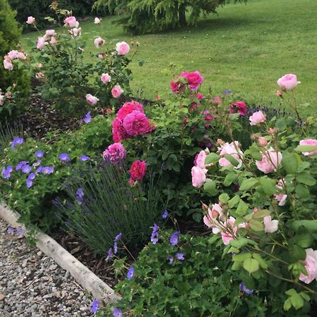 Rock Park Farm - Home From Home Accommodation Yeoford Екстериор снимка